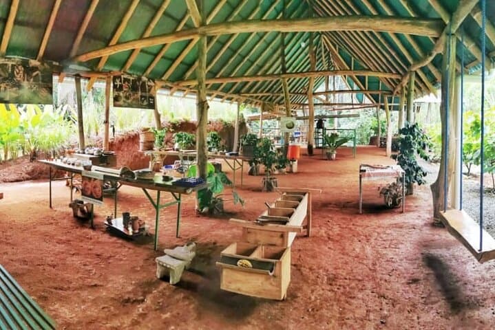 Quepos Chocolate & Wildlife Expedition: Cacao, Coffee and Sugarcane Tour Near Manuel Antonio photo 4