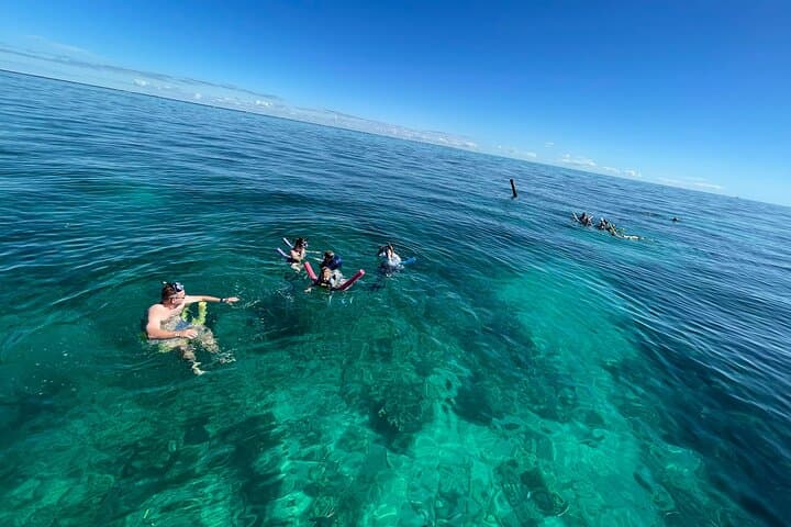 Explore Sombrero Reef and Molasses Key Sandbar: Marathon’s Premier Snorkeling Combo photo 5