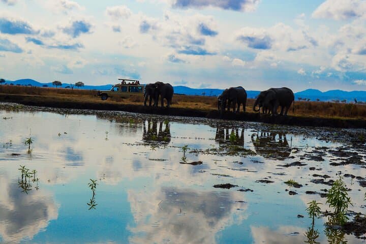 Private Safari in Mikumi National Park — 3-Day Wildlife Escape from Dar es Salaam