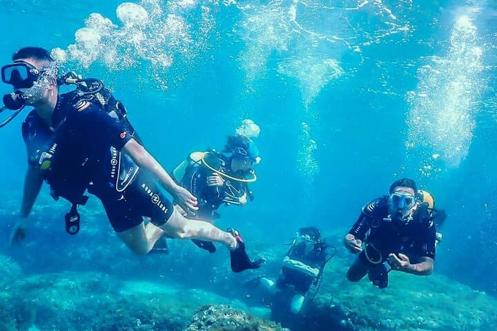 Personalized Snorkeling & Diving in Riviera Maya — Puerto Aventuras Small-Group Marine Tours
