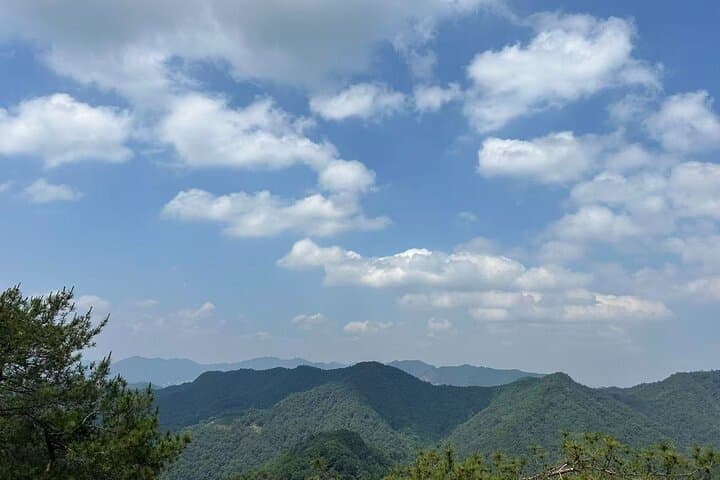 2-Day Hangzhou Escape: West Lake, Faxi Temple & Longjing Tea Hike photo 4