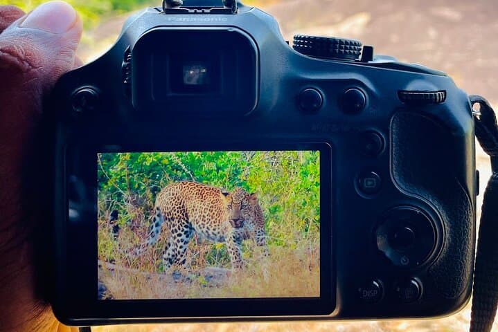 Yala National Park Jeep Safari: Spot Leopards, Elephants & Sloth Bears photo 5