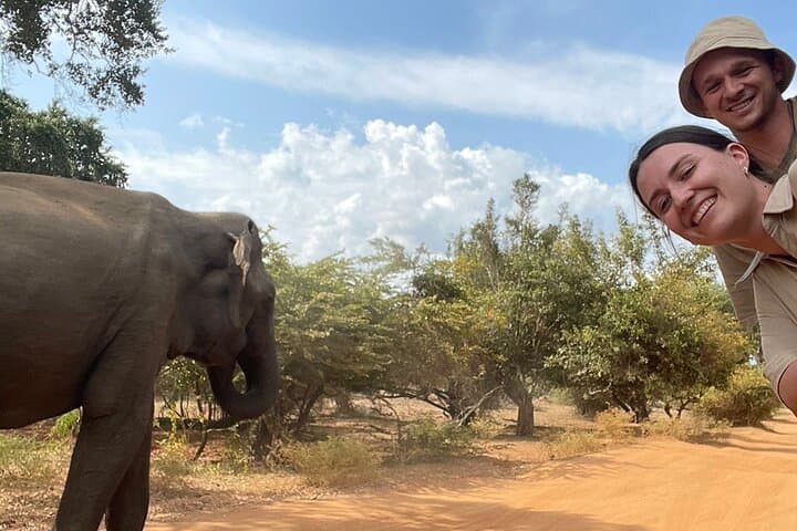 Yala National Park Jeep Safari: Spot Leopards, Elephants & Sloth Bears photo 3