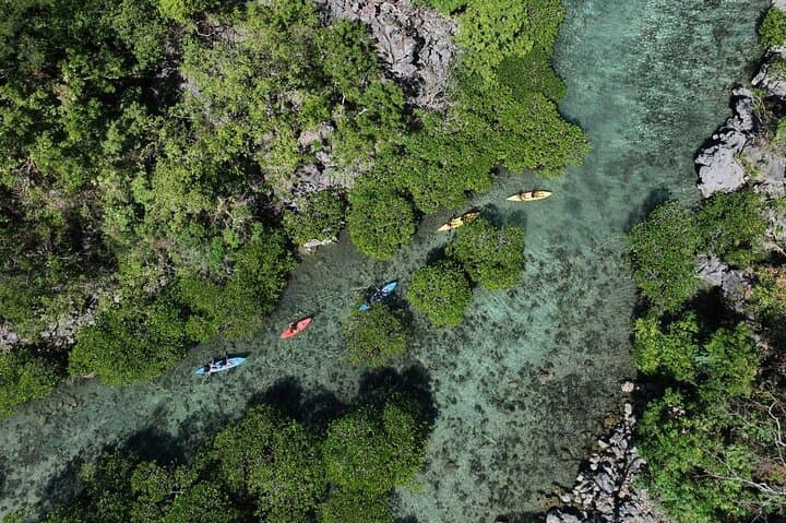 Explore Coron, Palawan: 10-Day Island Ecotour with Snorkeling, Kayaking & Wreck Dives photo 2