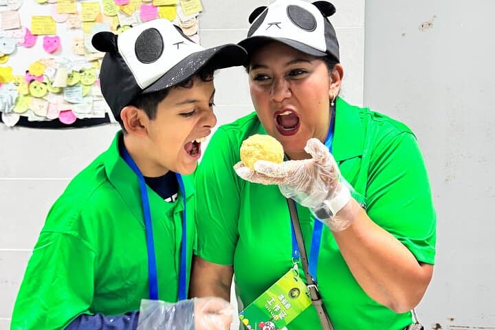 Panda Volunteer Day at Dujiangyan or Wolong Base — Hands-On Giant Panda Conservation Experience
