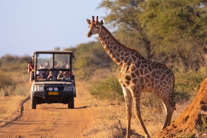 Ivory Moon: 4-Day Shared Kruger Safari from Johannesburg photo 2