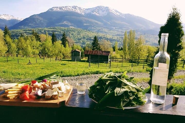 Half-Day Libearty Bear Sanctuary, Bran Castle & Romanian Food Tasting from Brasov