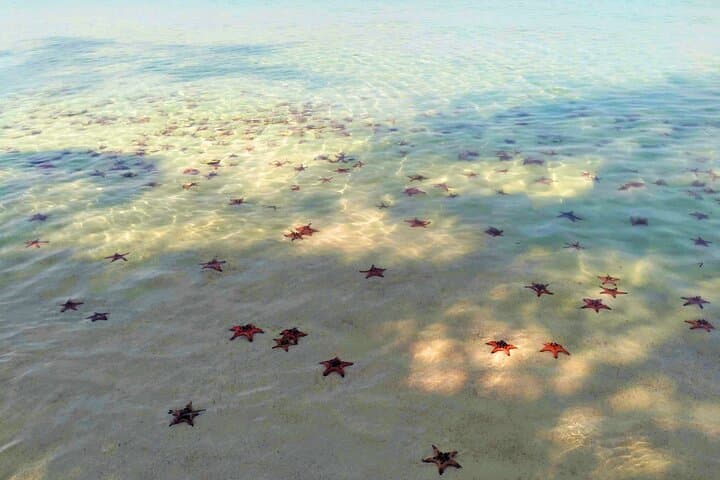 Starfish Beach & Rach Vem Floating Village Boat Trip with Seafood Lunch photo 3