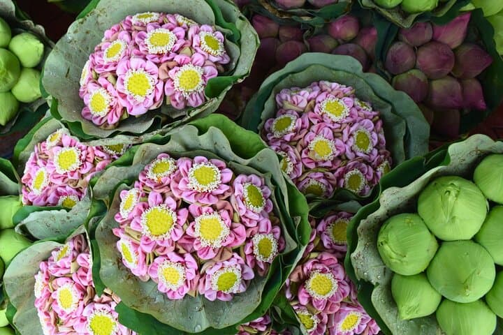 Bangkok Lotus Fields, Orchid Farm & Pak Khlong Talad Flower Market Day Tour