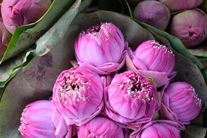 Bangkok Lotus Fields, Orchid Farm & Pak Khlong Talad Flower Market Day Tour photo 2
