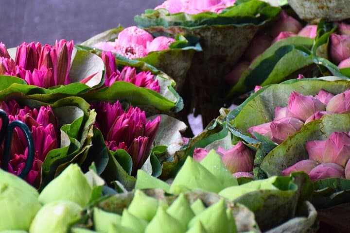 Bangkok Lotus Fields, Orchid Farm & Pak Khlong Talad Flower Market Day Tour photo 4