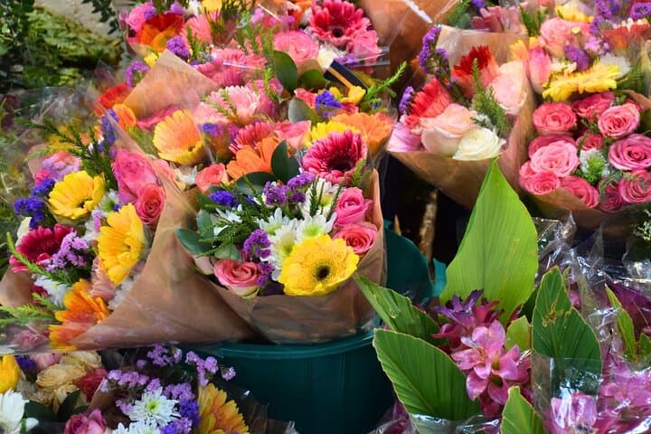 Bangkok Lotus Fields, Orchid Farm & Pak Khlong Talad Flower Market Day Tour photo 6