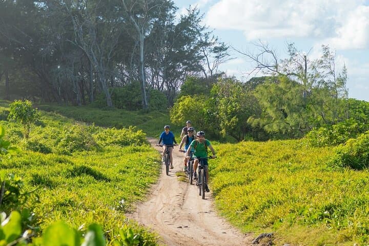 Wild South E-Bike Adventure in Mauritius: Ride Sugarcane Fields to Cliffside Views photo 2