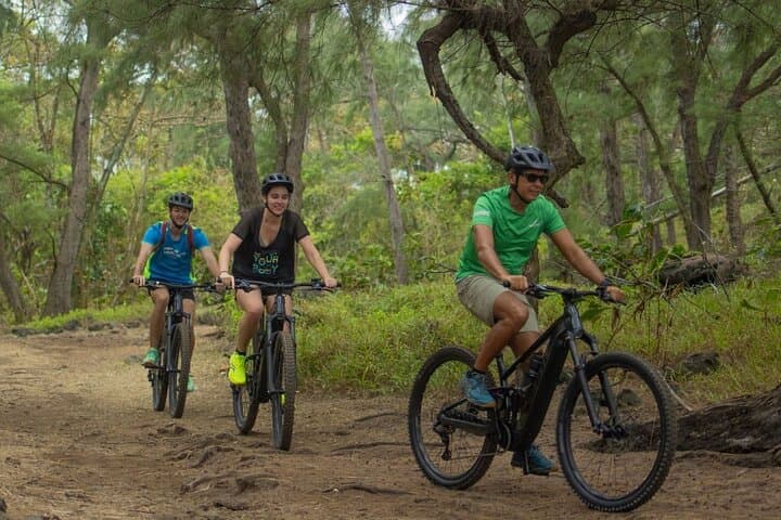 Wild South E-Bike Adventure in Mauritius: Ride Sugarcane Fields to Cliffside Views photo 3