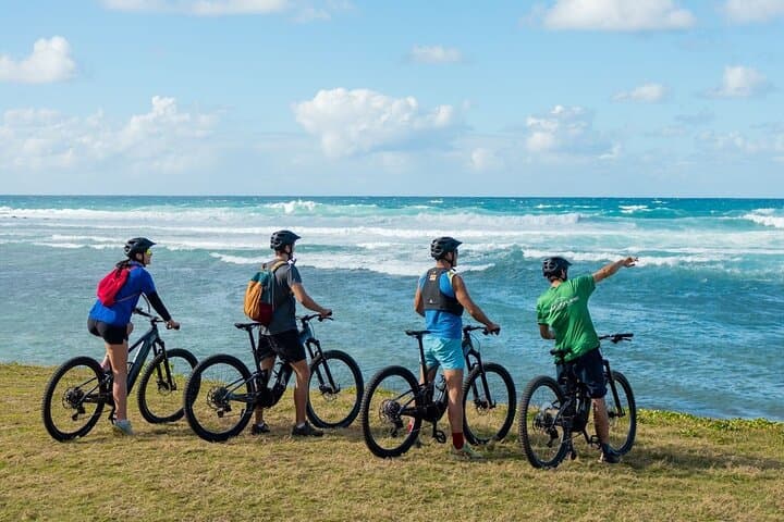 Wild South E-Bike Adventure in Mauritius: Ride Sugarcane Fields to Cliffside Views
