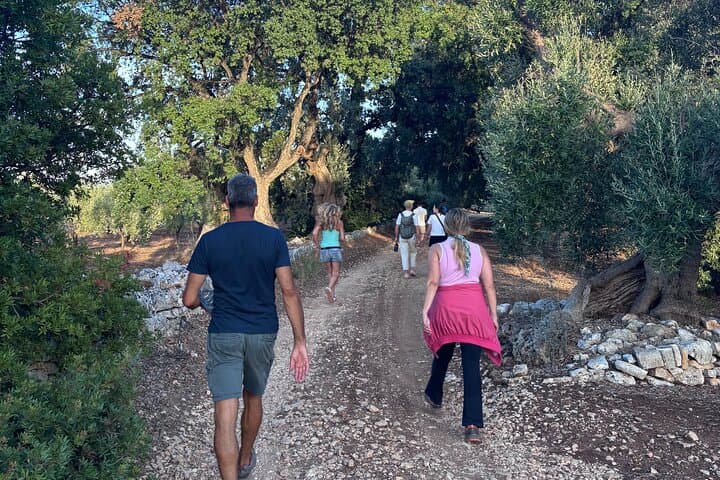 Sunset Aperitif and Olive-Grove Walk in Ostuni Hills photo 5