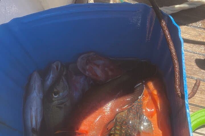 Hurghada Full-Day Fishing & Snorkeling Adventure with Lunch photo 5