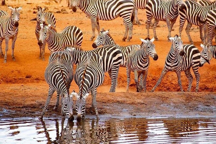 4-Day Safari: Tsavo East, Amboseli & Tsavo West from Diani photo 2