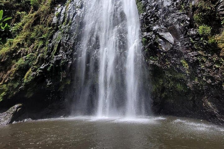 Soak, Swing, and Shop: Moshi Hot Springs Day Tour from Arusha photo 5