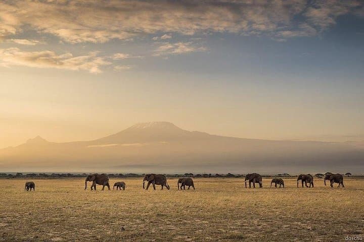 4-Day Safari: Tsavo East, Amboseli & Tsavo West from Diani photo 5