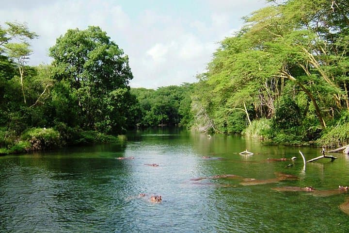 4-Day Safari: Tsavo East, Amboseli & Tsavo West from Diani photo 6