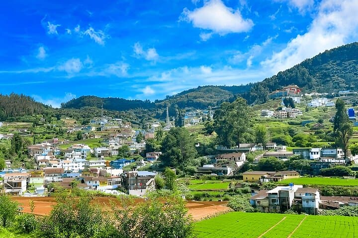 Coimbatore to Ooty Day Trip: Nilgiri Hill Station Highlights in One Day photo 2