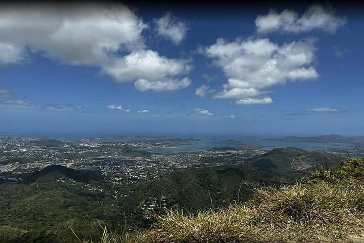 Half-Day Wildlife and Rainforest Tour from Nouméa Cruise Terminal photo 6