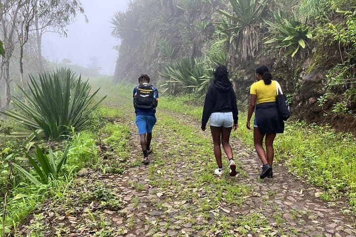 Serra Malagueta to Ribeira Principal: 4‑Hour Ecological Walk on Santiago, Cape Verde photo 4