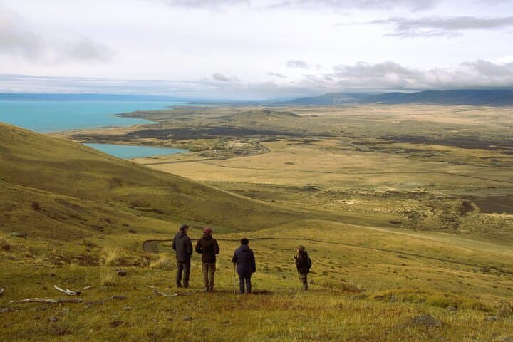 Cerro Frías Full-Day Trek: Summit Views over Lago Argentino photo 3