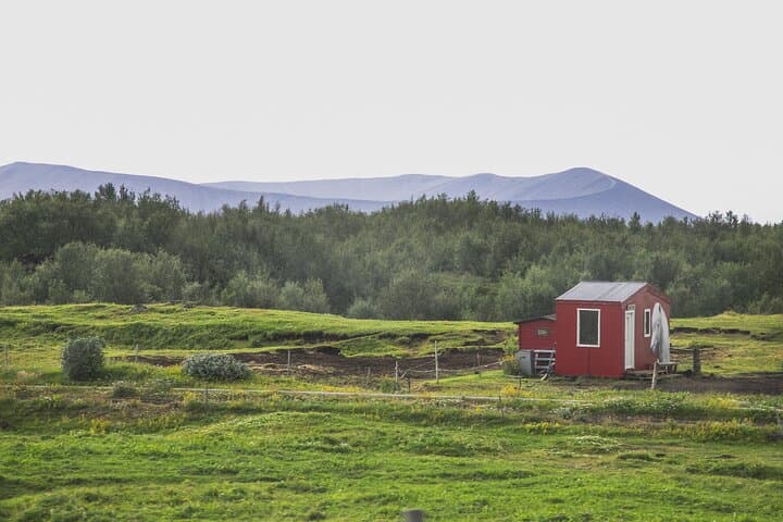 North Iceland in a Day: Private Akureyri Tour to Goðafoss, Mývatn, Dettifoss & Húsavík photo 6