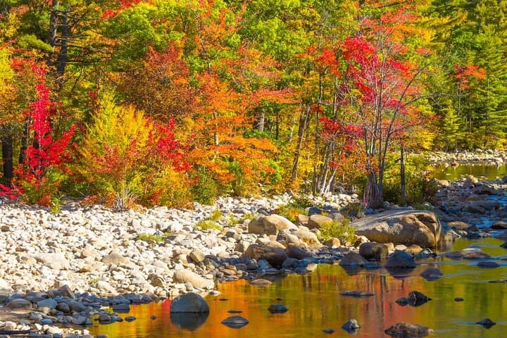 White Mountains Day Trip from Boston: Lost River Gorge, Flume Gorge & Kancamagus Drive photo 3