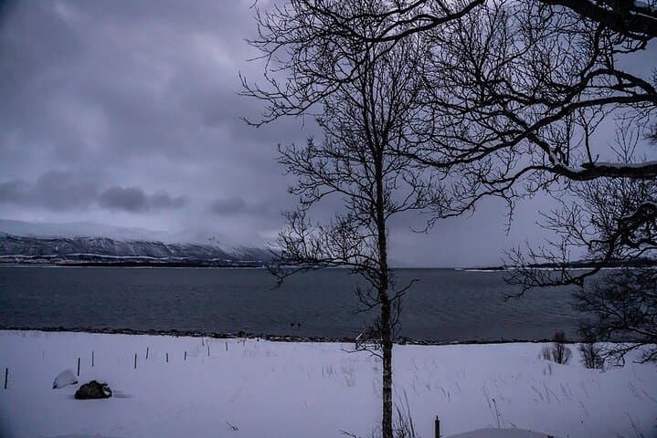 Arctic Fjords Sightseeing Adventure from Tromsø — Sommarøy & Coastal Photo Stops photo 2