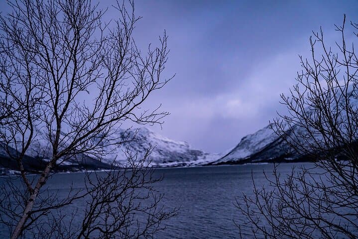 Arctic Fjords Sightseeing Adventure from Tromsø — Sommarøy & Coastal Photo Stops photo 3