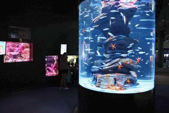 Skip-the-Line Aquarium de Paris: Priority Tickets Near the Eiffel Tower photo 2