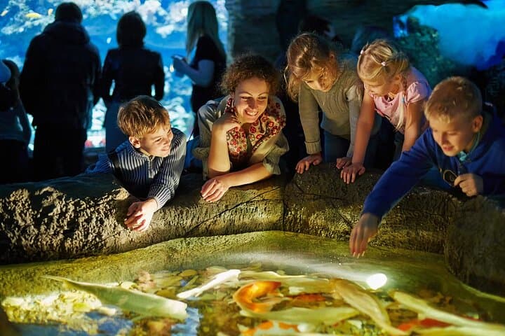 Skip-the-Line Aquarium de Paris Tickets — Shark Tunnel, Touch Pools & Feeding Shows photo 2