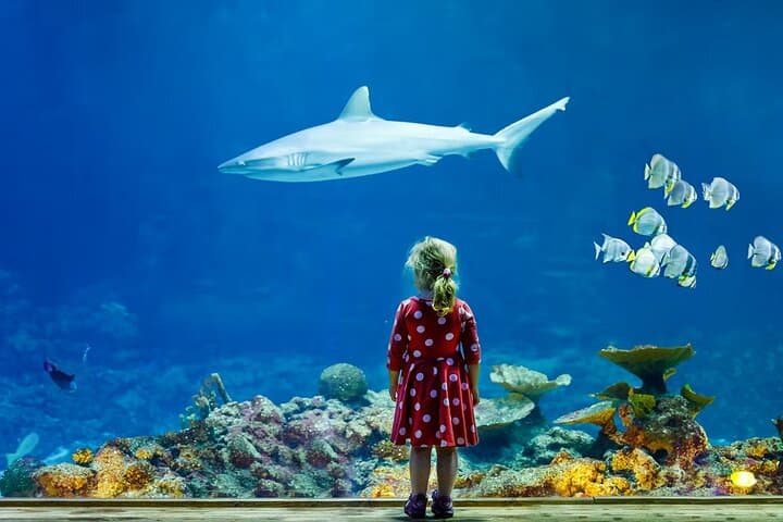 Skip-the-Line Aquarium de Paris: Priority Tickets Near the Eiffel Tower