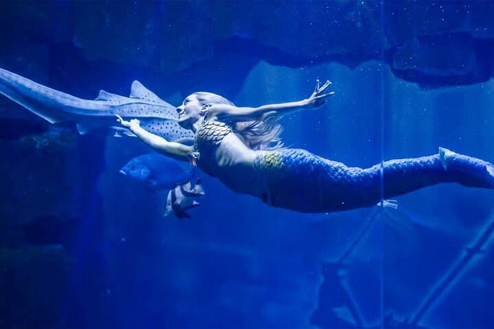 Skip-the-Line Aquarium de Paris: Priority Tickets Near the Eiffel Tower photo 4