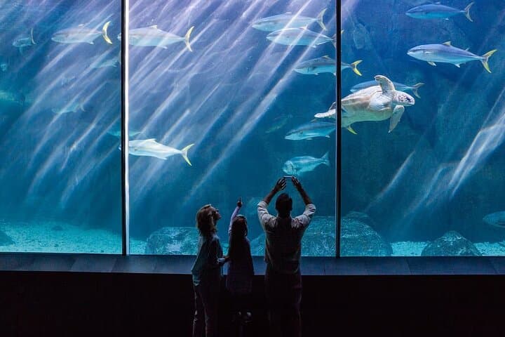 Skip-the-Line Aquarium de Paris: Priority Tickets Near the Eiffel Tower photo 3