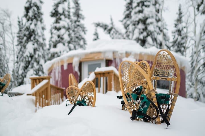 Open-Fire Aurora Viewing & Snowshoeing Adventure near Whitehorse photo 4