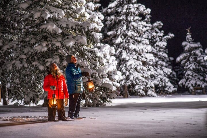 Open-Fire Aurora Viewing & Snowshoeing Adventure near Whitehorse photo 6