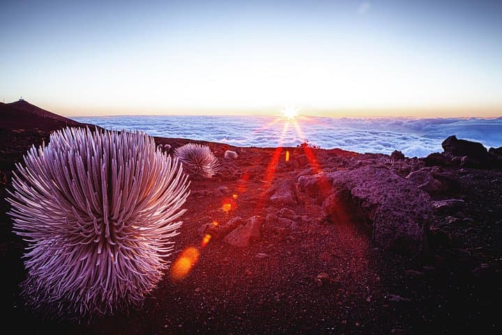 Haleakala Volcano to Ocean Vodka Sunset Tour — Summit, Kaupo Coast & Farm Sunset photo 1
