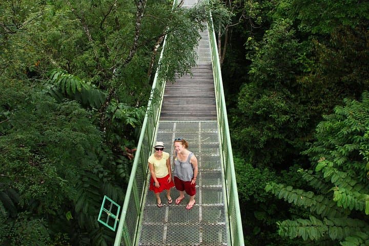 Sepilok Orangutan & Sun Bear Day Tour — Rainforest Canopy and Sandakan Sights photo 2