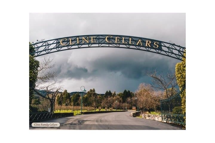 San Francisco to Sonoma Private 6-Hour Wine Tour — Up to 6 Guests photo 3