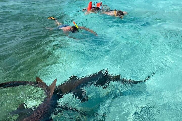 Caye Caulker 3-Stop Belize Barrier Reef Snorkeling Adventure photo 5