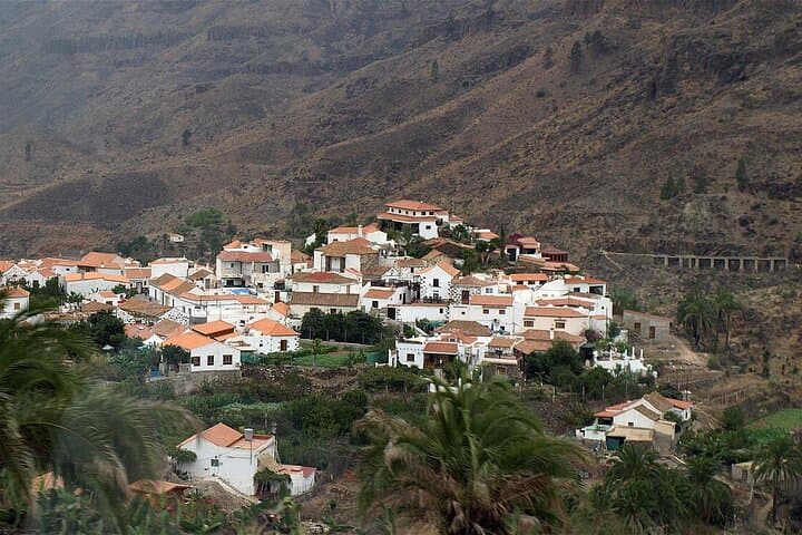 Gran Canaria Private Mountain Tour — Tejeda, Pico de las Nieves & Fataga photo 2
