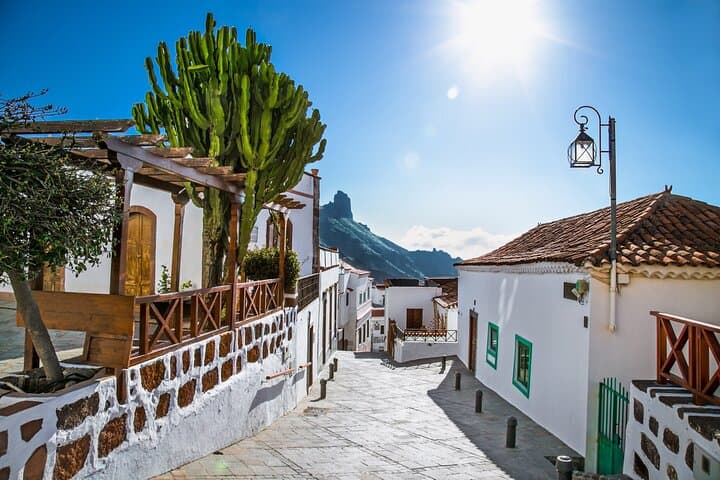Gran Canaria Private Mountain Tour — Tejeda, Pico de las Nieves & Fataga photo 4