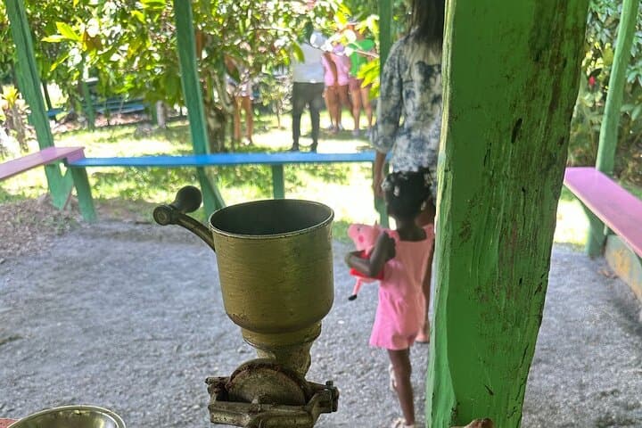 Punta Cana Scenic Tour: Horses, Plantation Lunch & Cenote Swim photo 2