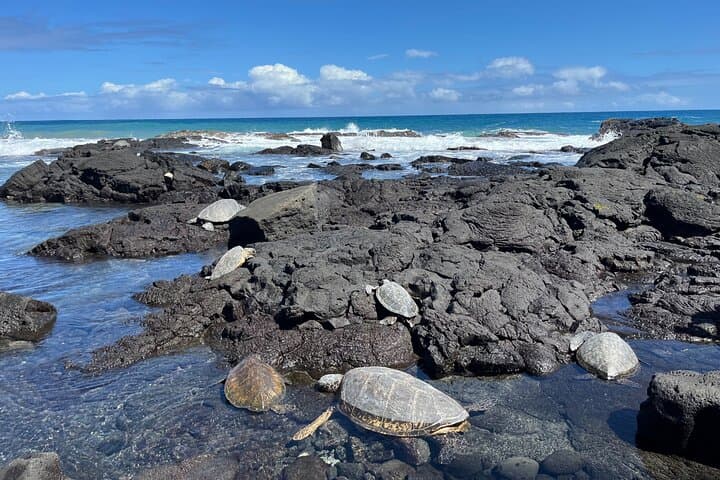 Haena Hike & Swim in Puna — Punawai Spring Coastal Trail Guide