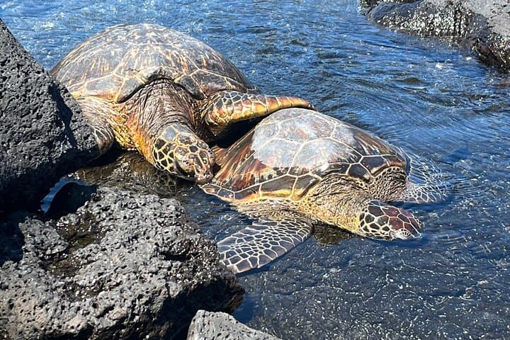 Haena Hike & Swim in Puna — Punawai Spring Coastal Trail Guide photo 6