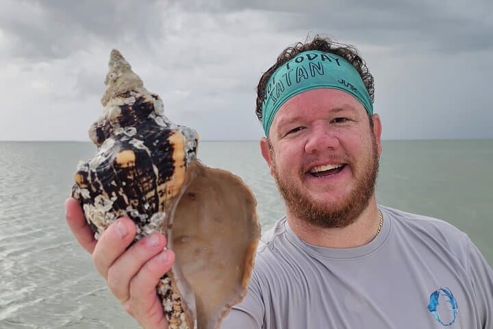 Keewaydin Island Shelling and Dolphin Tour — Naples Boat Trip Guide